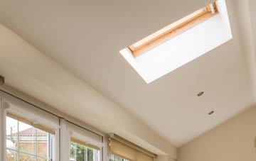 Seworgan conservatory roof insulation companies