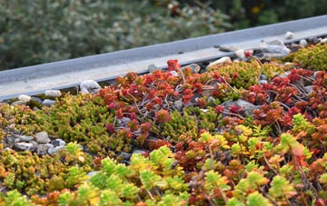 the cost of Seworgan green roof installation