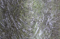 Seworgan fibreglass roof work